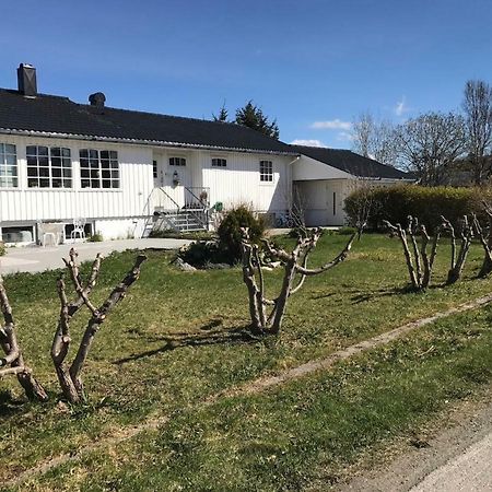 לקנס Cozy & Private Room In The Middle Of Lofoten מראה חיצוני תמונה