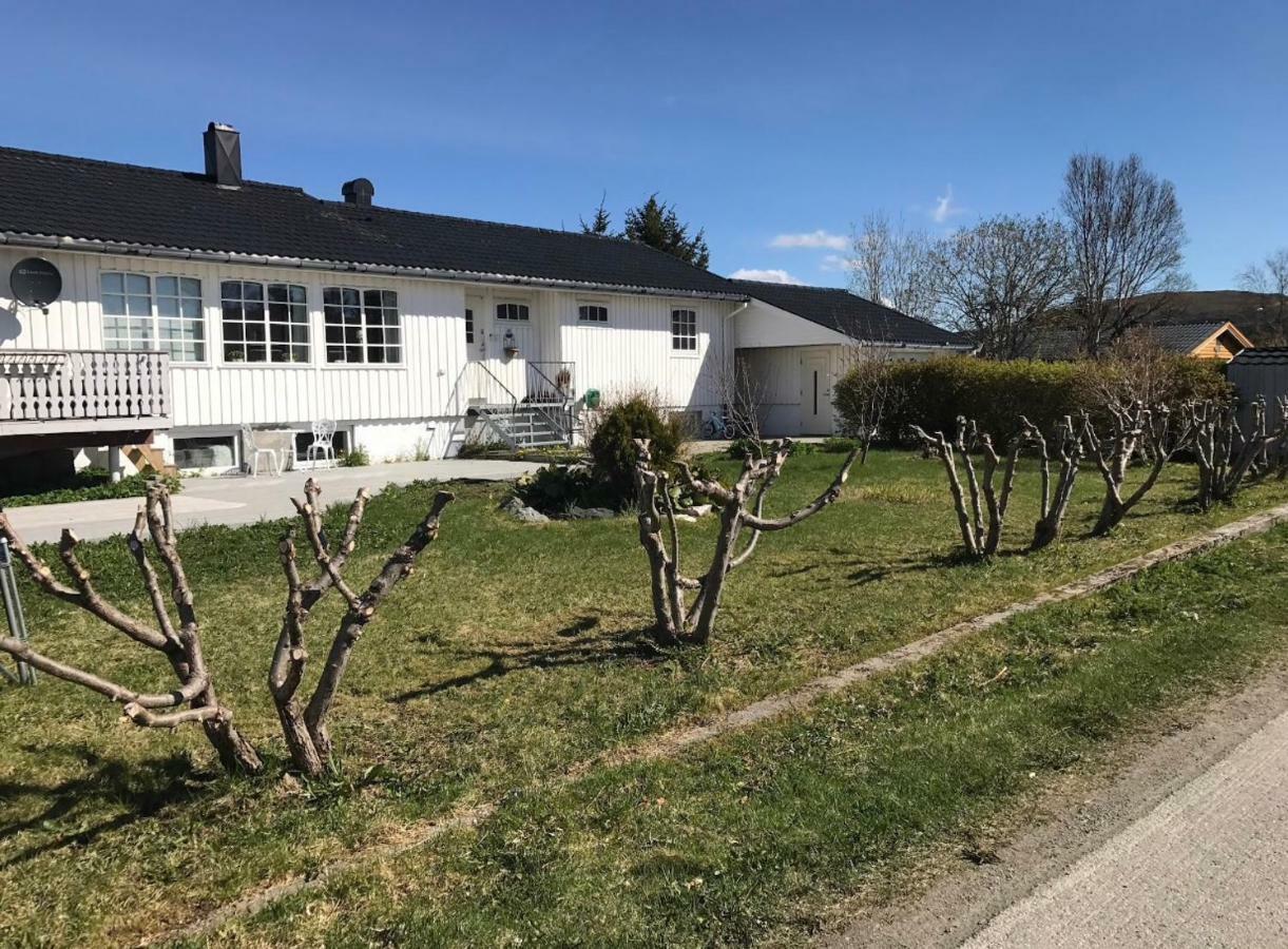לקנס Cozy & Private Room In The Middle Of Lofoten מראה חיצוני תמונה
